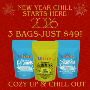 Kick Off the New Year with Big Savings